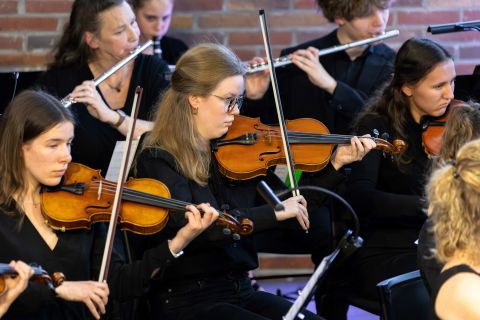 Foto: Markus Trienke